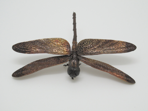 自在置物標本箱 ノシメトンボ