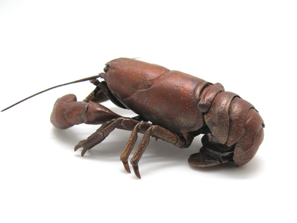 自在置物標本箱 ニホンザリガニ＜オス＞