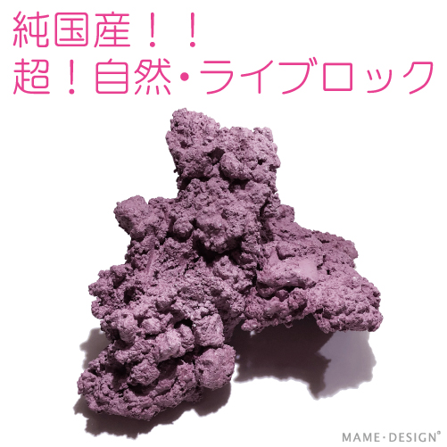 人工ライブロック RR83 アク抜き済み安心塗料使用 人工ライブロック