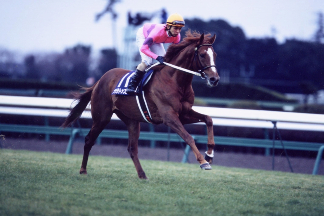 現地単勝1999年菊花賞 ナリタトップロード +2002年天皇賞(春.秋)計3枚