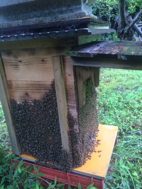 日本みつばち巣箱 底板2タイプ（夏冬交換）3段重箱 巣落ち、スムシ、暑