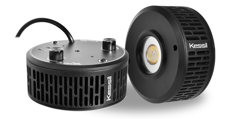 Kessil 360X用コントローラー ライト2台用の接続ケーブル ショップ