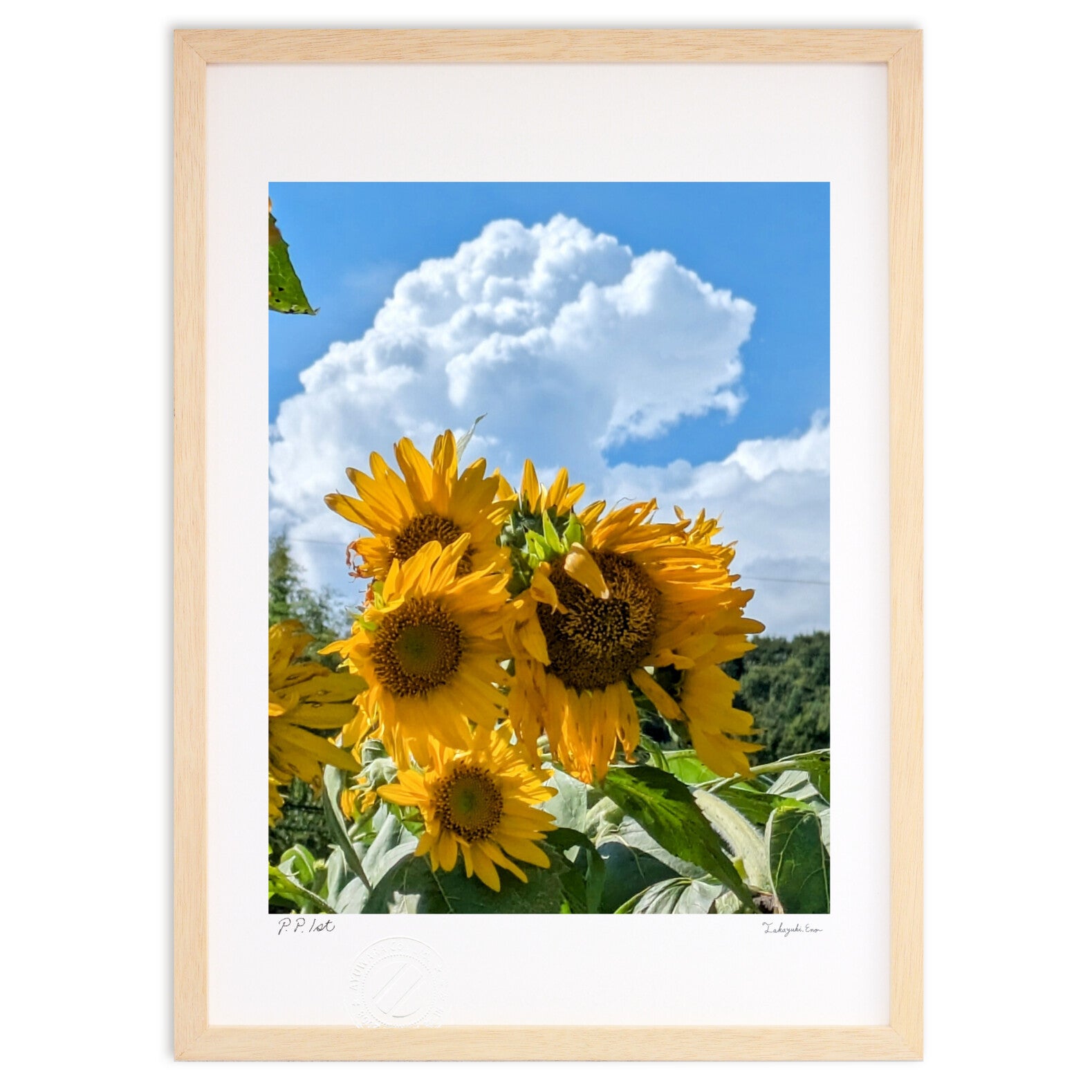 ひまわりの風景画 白フレーム付き ひまわりの風景画 白フレーム付き