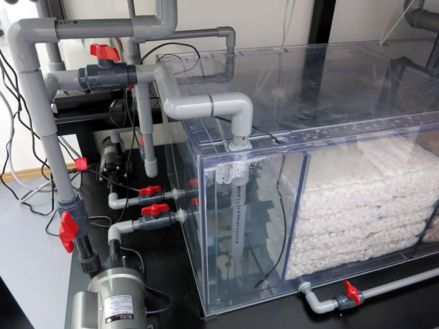 大型オーバーフロー W2000×D1000×H1000 アクリル水槽、オーバーフロー