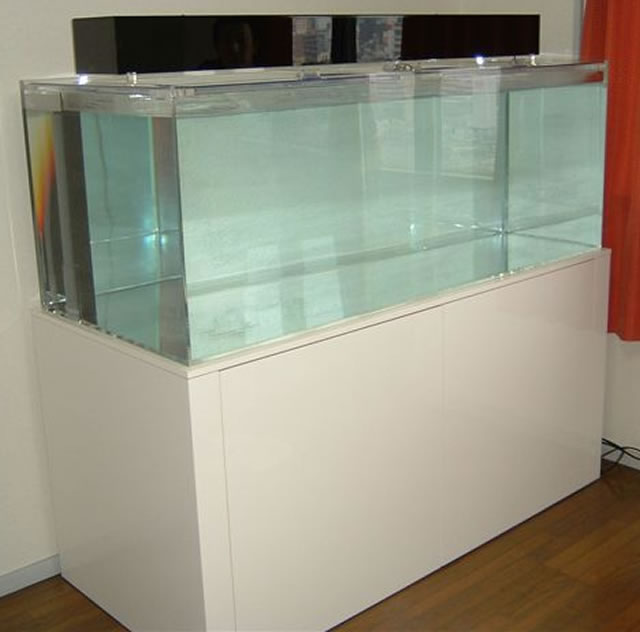 アクリル水槽 大きめ 上部給水穴付き アクリル水槽 600 450 300