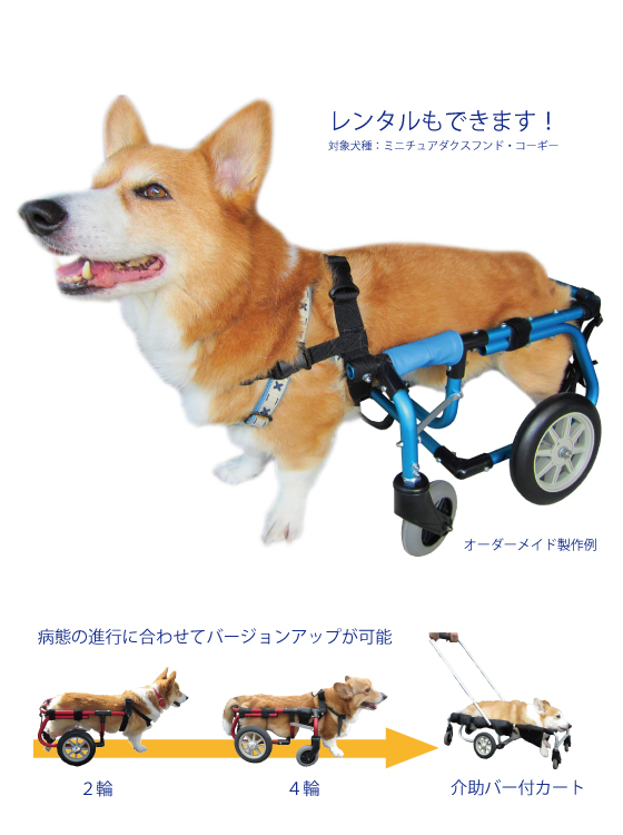 犬用車椅子、柴犬用4輪車、犬の車椅子 犬用車椅子、柴犬用4輪車、犬の