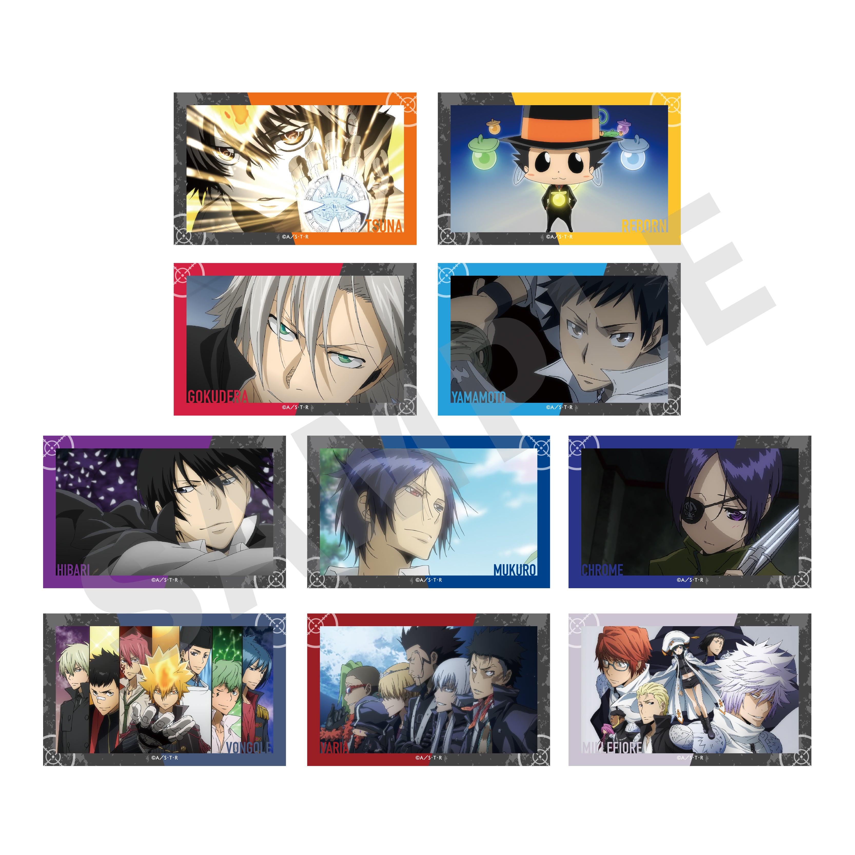 家庭教師ヒットマンreborn! CCG カード まとめ売り ファイル付き