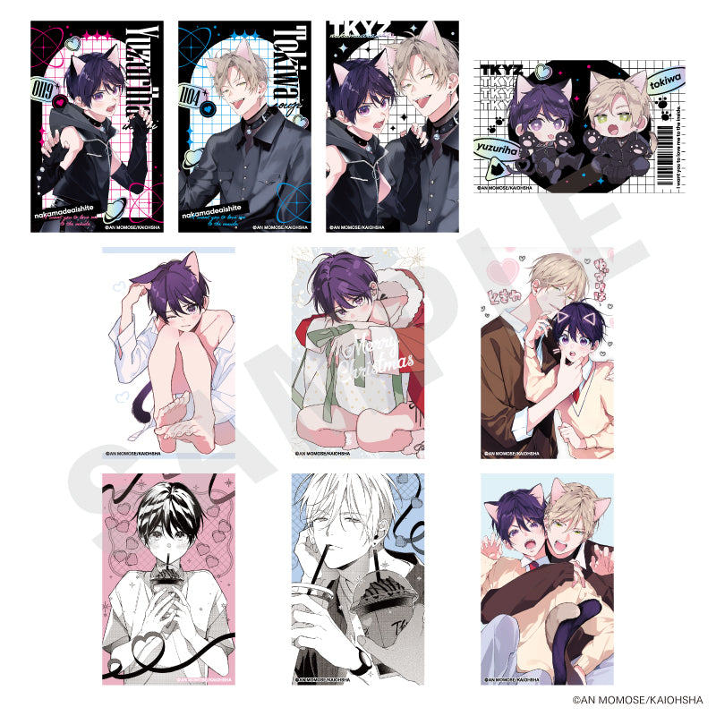 全種セット】「ナカまであいして」 トレーディングカード vol.2（全10