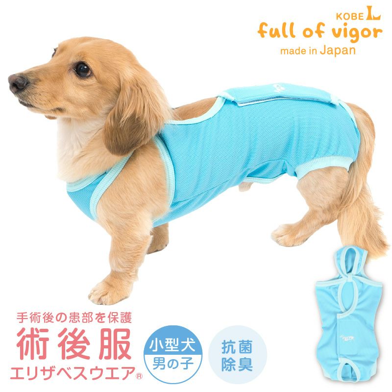 術後服エリザベスウエア(男の子-小型犬用) – anifull