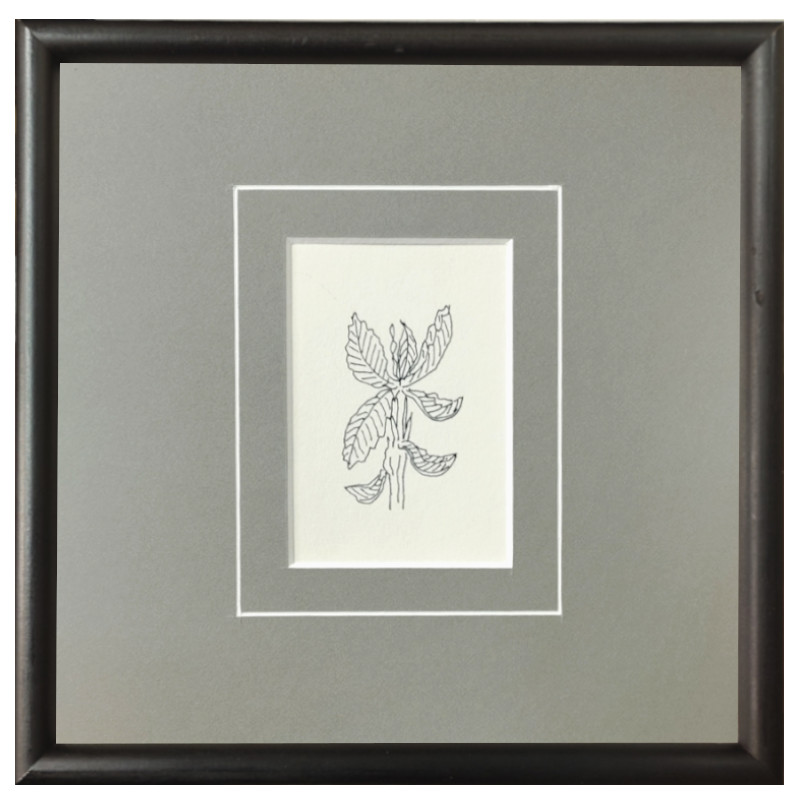 坂本直行 水彩画 「ポンテヒマール」 坂本直行 水彩画 「ポンテ