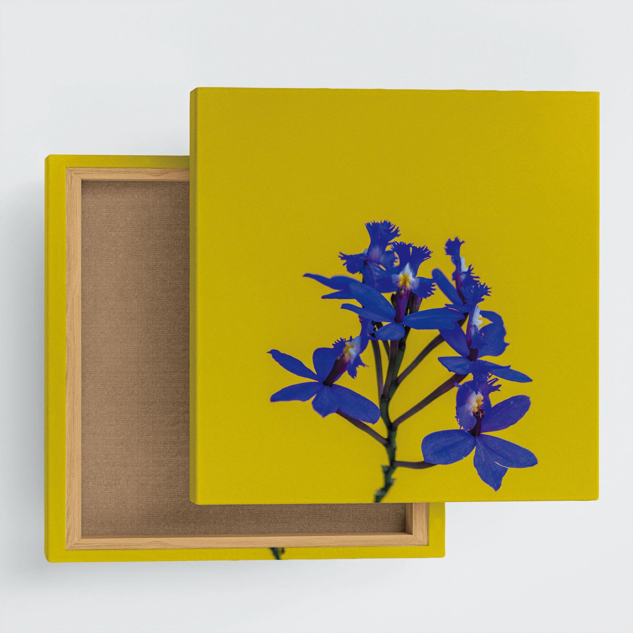 アートデリ 花のファブリックボード poht-2205-06 つ179