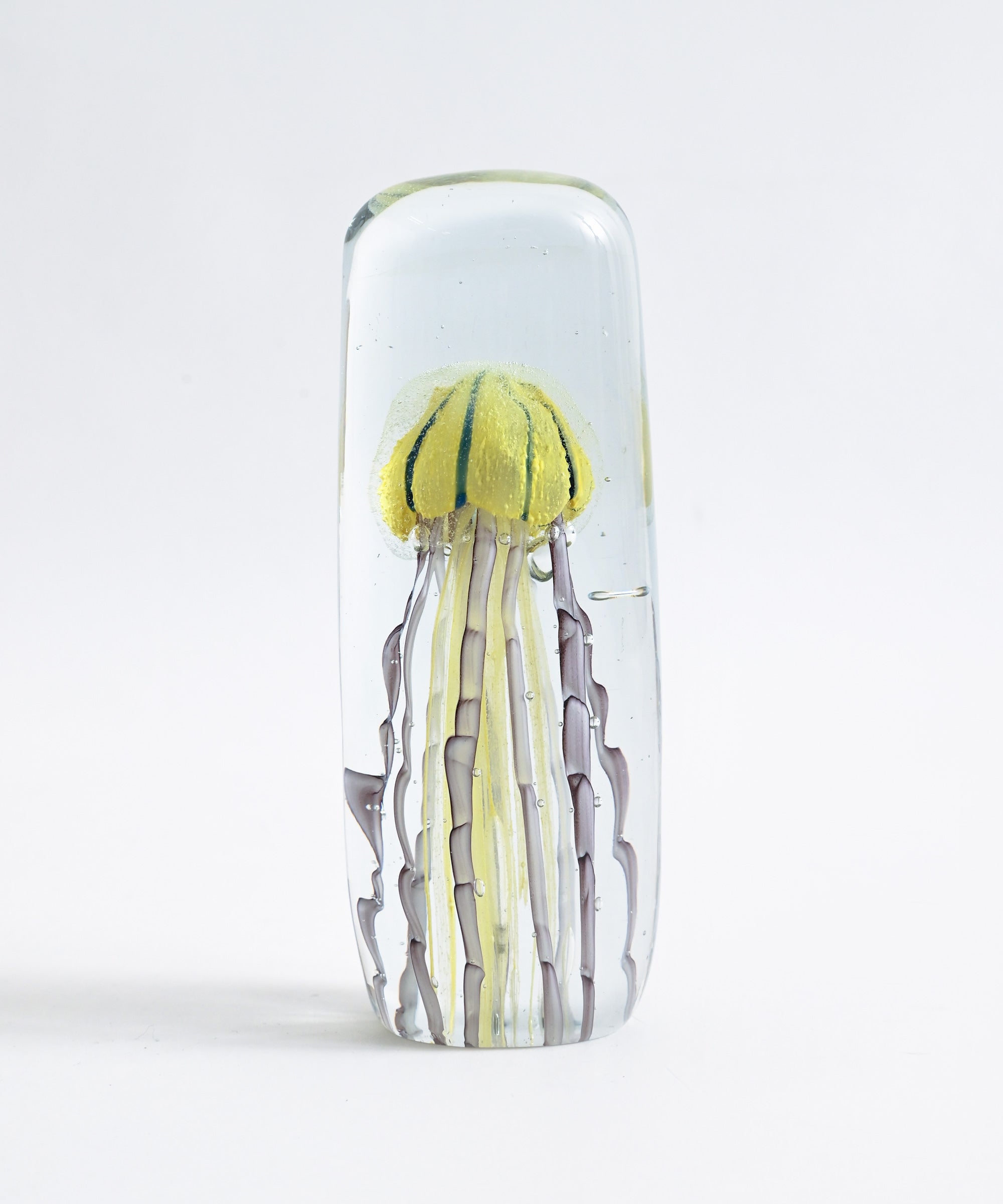 88641392-ye.jpg?crop=center&