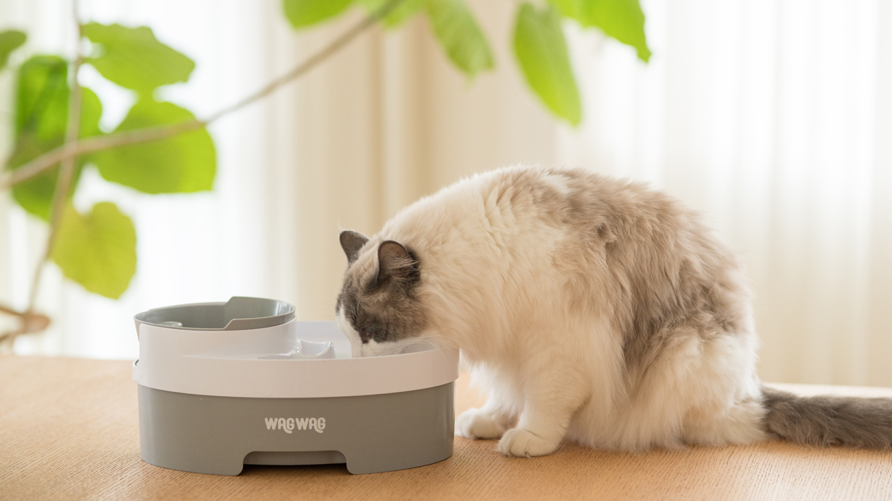 犬用食器 Porta ポルタ 脚付き食器 M | ペティオ オンライン ショップ