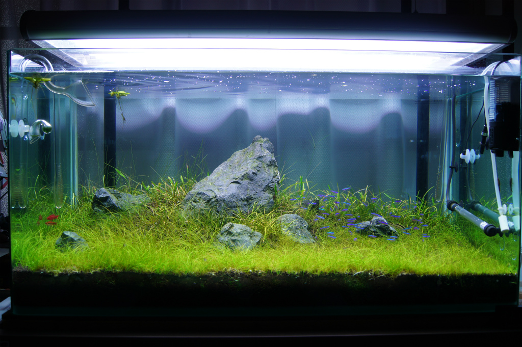 90cm熱帯魚水槽セット 引き取り限定 水槽 90センチ ファイブプラン