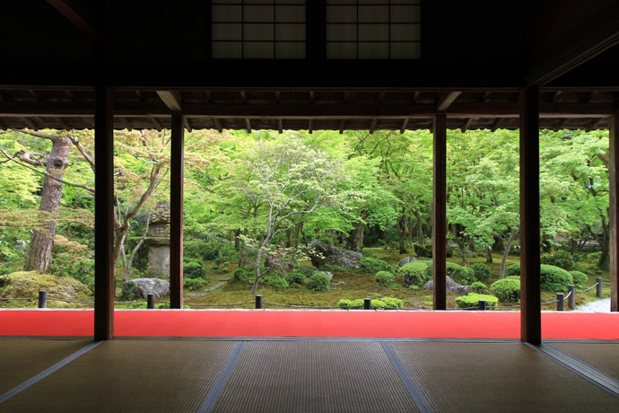 日本画琳派渡辺章雄 作千両万両 東林院