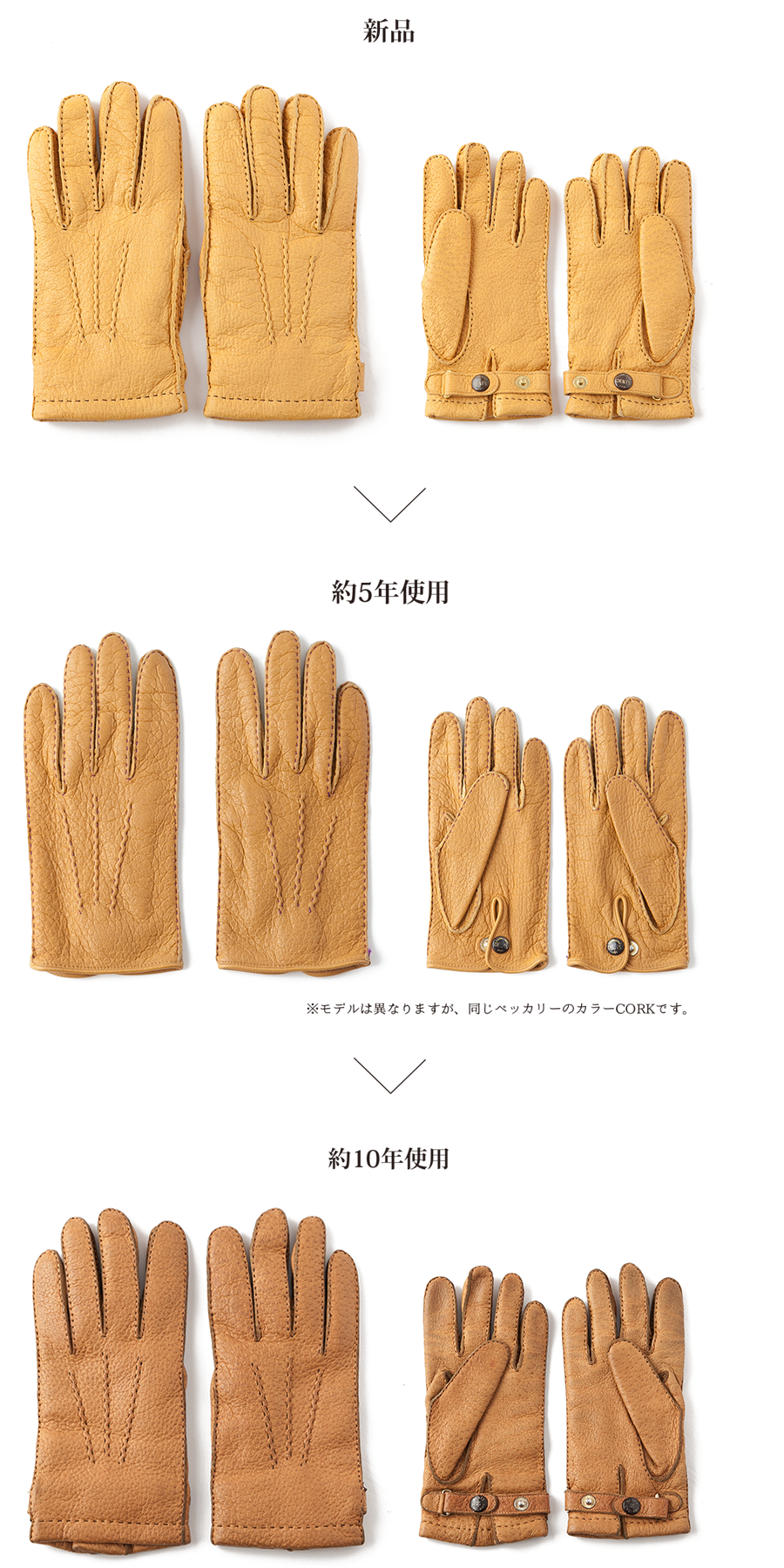 デンツDENTS ペッカリー アンライニング コーク ボーイズマーケット