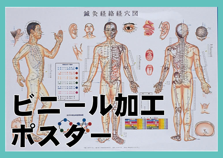 柳谷素霊 実用 鍼灸経穴図解 前後面 掛軸 柳谷素霊 実用 鍼灸経穴図解