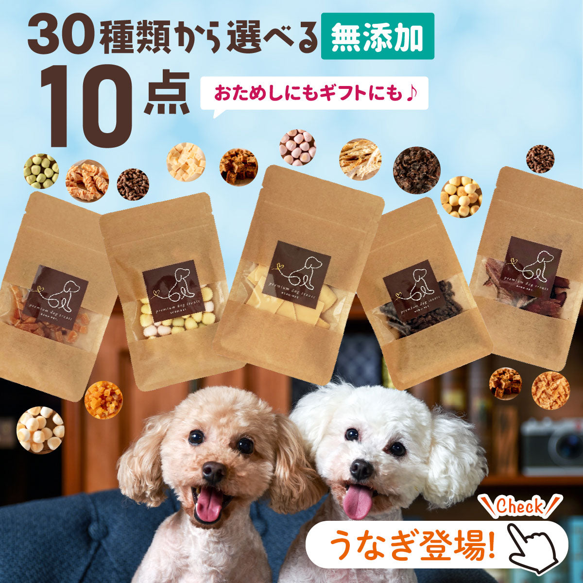30種類から選べる無添加おやつ10個セット – わたしいぬ わたしねこライフ