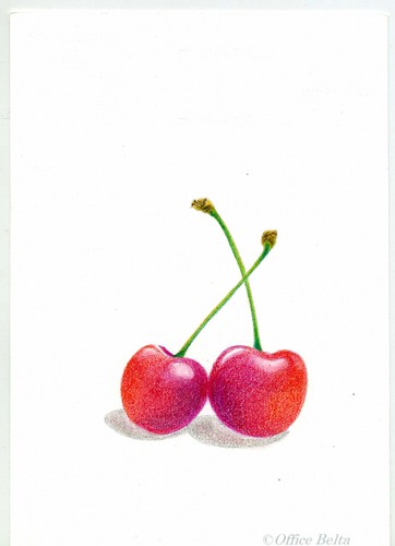 BeltaのColored Pencil Gallery 色鉛筆ギャラリー » Cherry