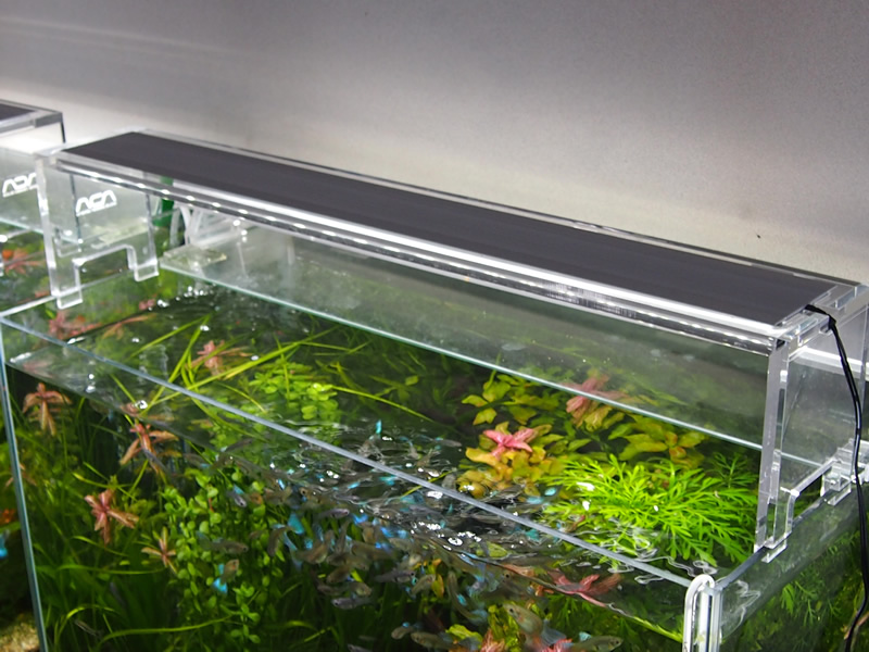 ADA アクアスカイ301 ADA 0 アクアスカイ 女々し ミラーユニット付き 30cm