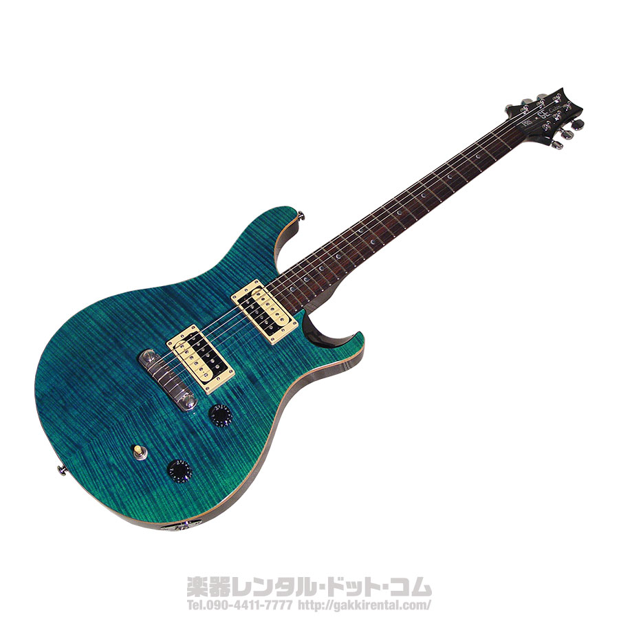 カスタム済み】PLAYTECH ストラトタイプ(レインボートーン装備