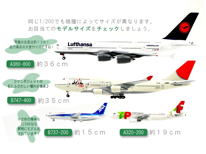 飛行機模型 通販専門 エルロン