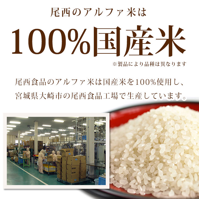 尾西の五目ごはん アルファ米スタンドパック 100g ｜ あんしんの殿堂