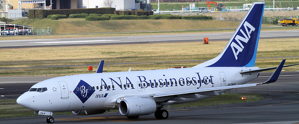 航空機・ヘリコプター ANA B737-700 ANA Business Jet 航空機