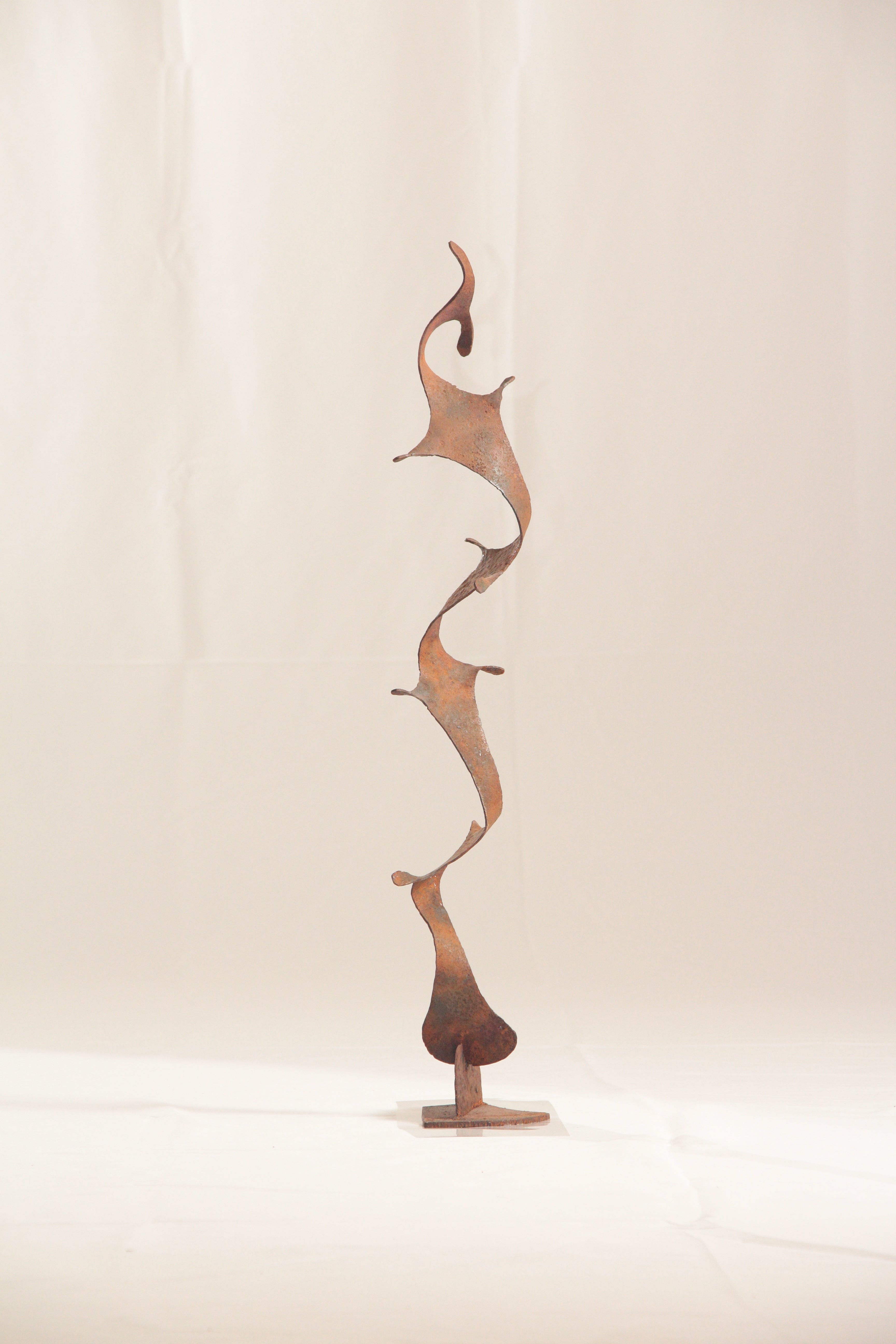 IMG_1438.jpg?v=1718845054