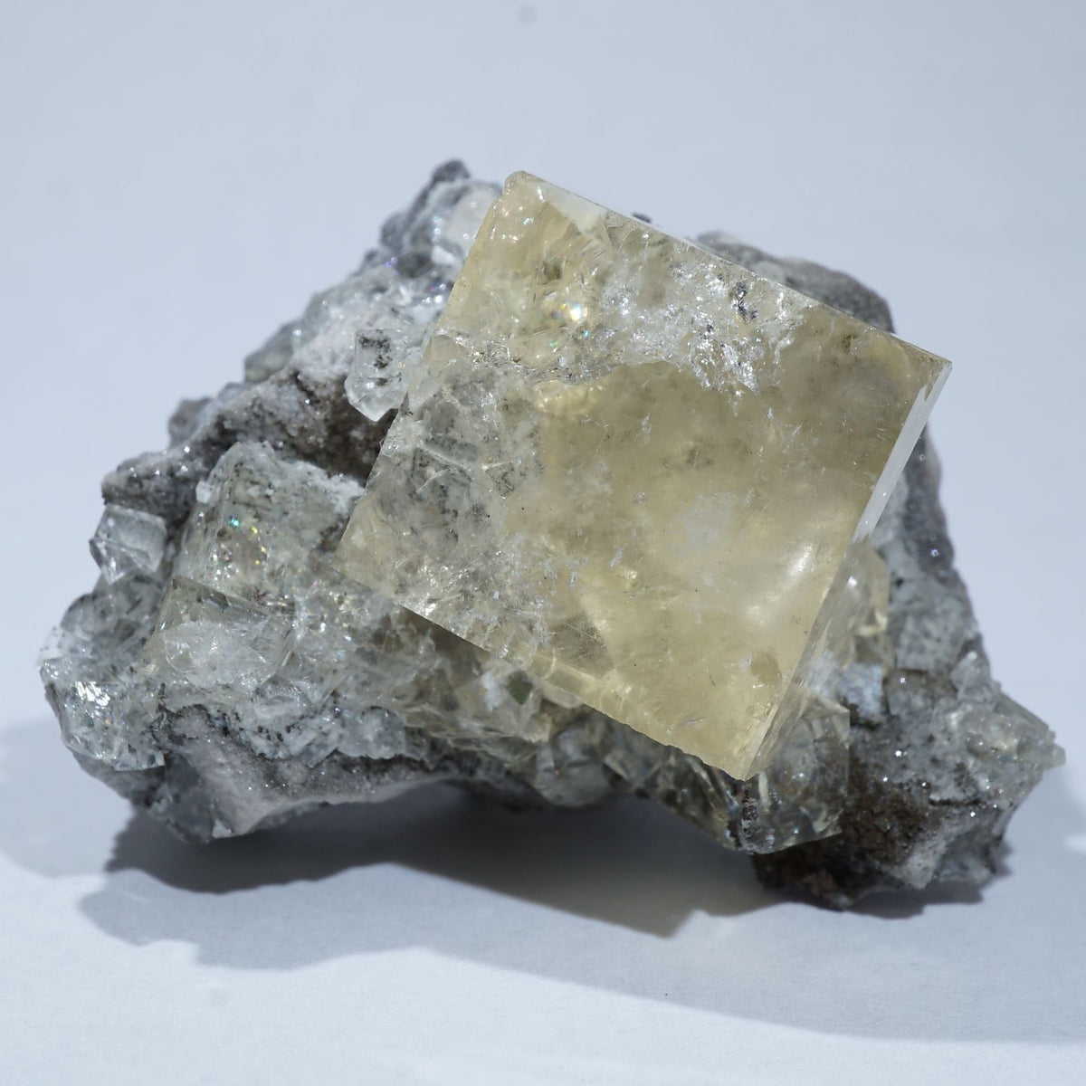 94549-c0_1200x1200.jpg?v=