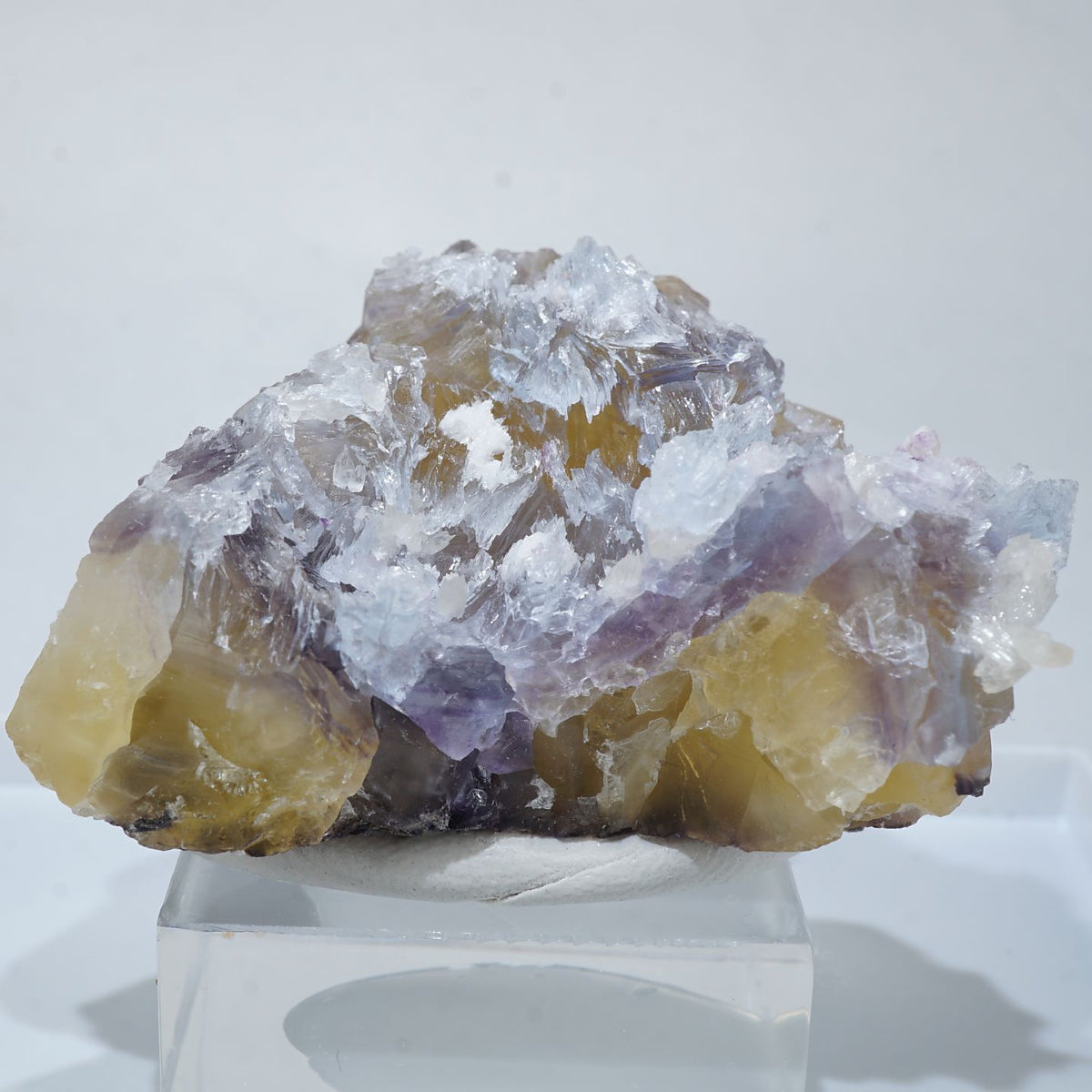 94731-c1_1200x1200.jpg?v=