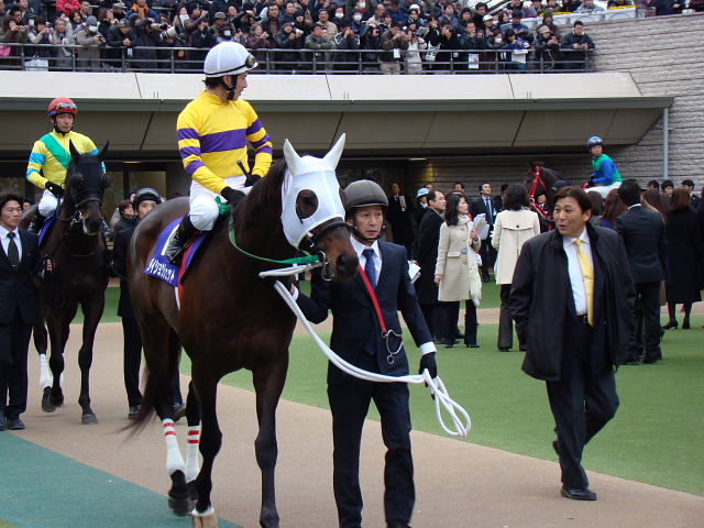 アグネスゴールド 週刊Gallop パネル 【公式通販】