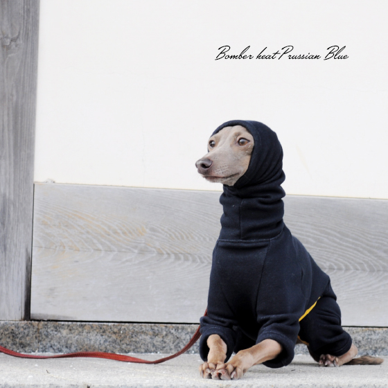 犬服｜毛布に包まれたような暖かさと、優しい肌さわり｜裏起毛ボンバー