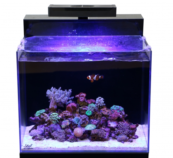 ORCA シェル2 オールインワンシステムタンク 海水用 総水量40L オール