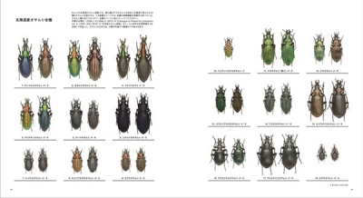 北海道のオサムシ図鑑