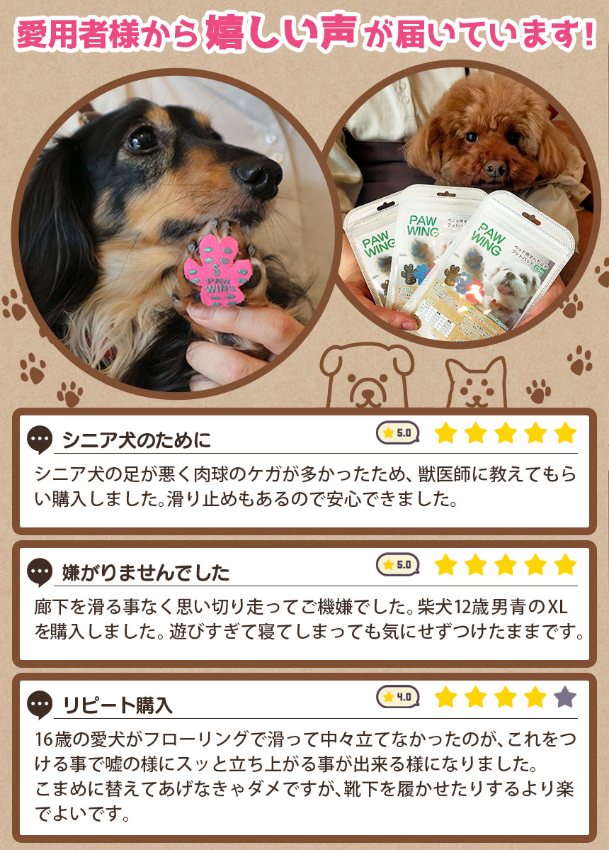 ◯◯様用】実物お写真 ペット 滑止 肉球 足裏 犬 (36cm 単位売)