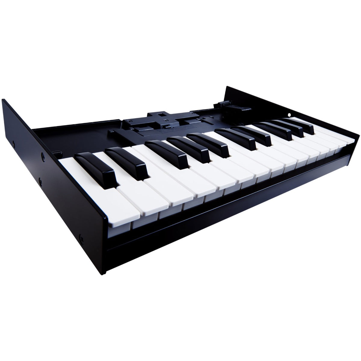 Roland Boutique K-25m Keyboard Unit – Kraft Music