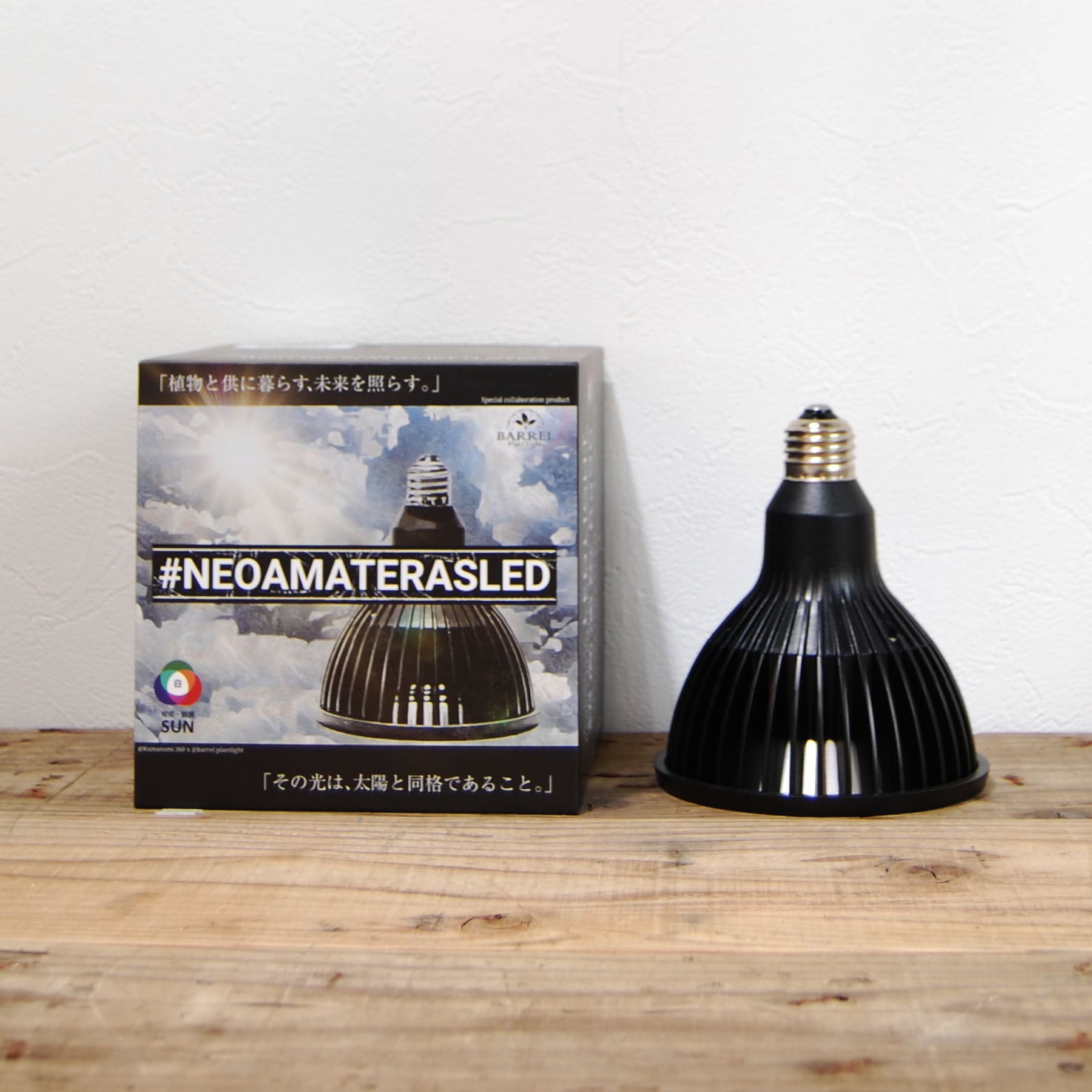 neo-amateras01.jpg?v=1722242287