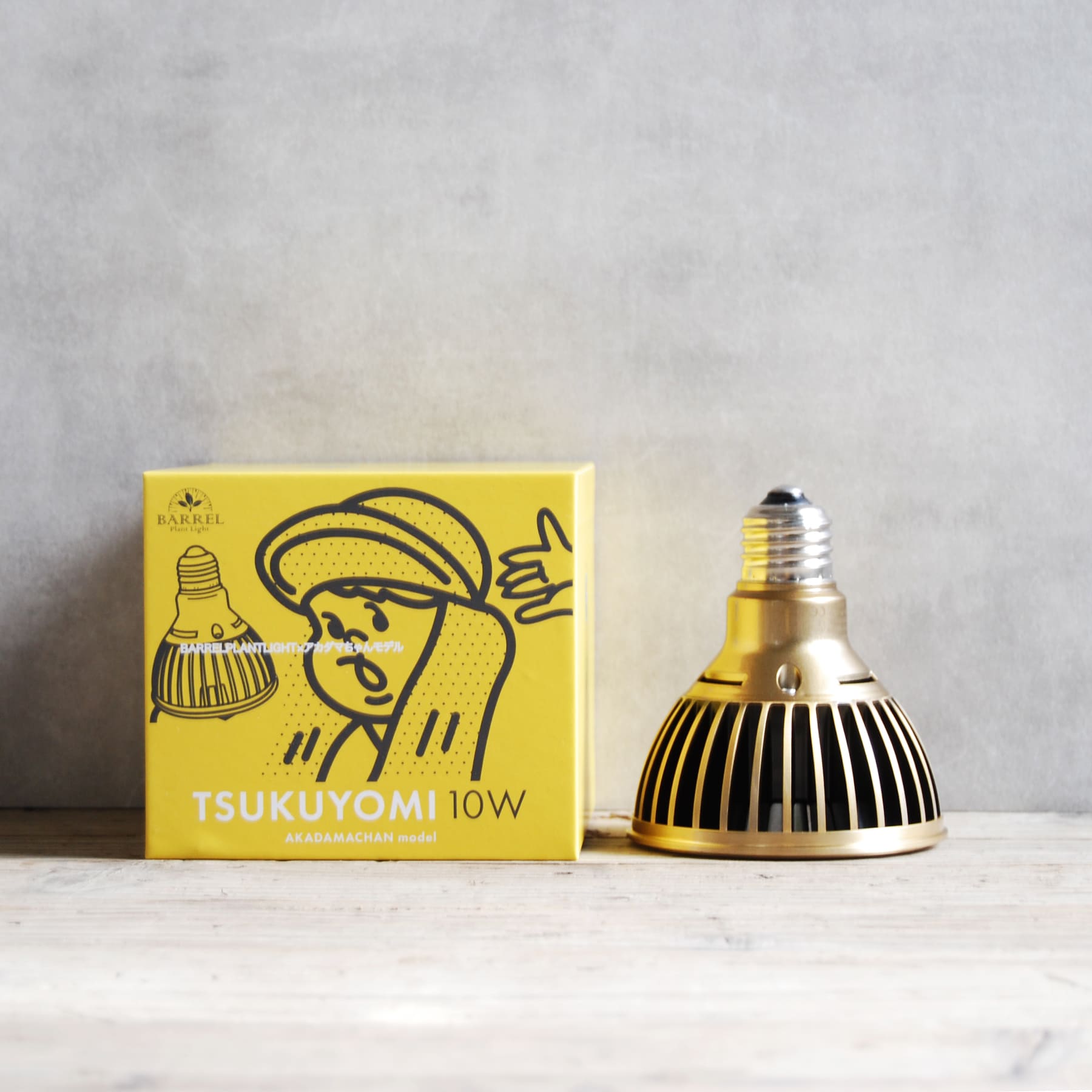 TSKUYOMI 10W ゴールド ブロンズ（ツクヨミLED 10W）AKADAMACHAN MODEL