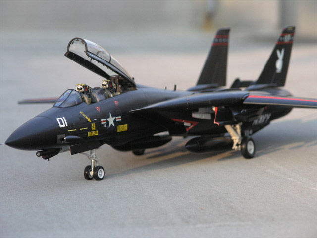 ハセガワ 1/48 F14トムキャット プラモデル塗装済み完成品 F-14A トム