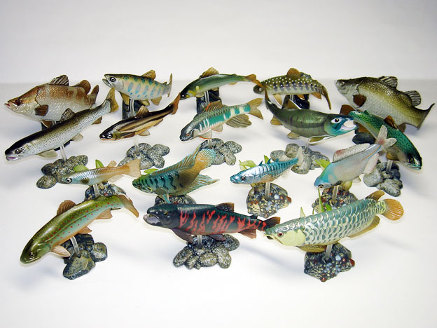 ユージン「原色淡水魚図鑑1 [改訂版] 」レビュー : 食玩トピックス