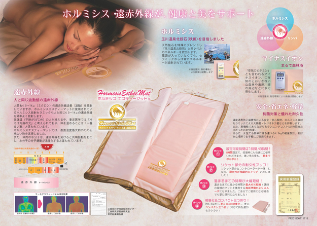 株式会社ピュアルネッサンス【製品情報】エスティーマット