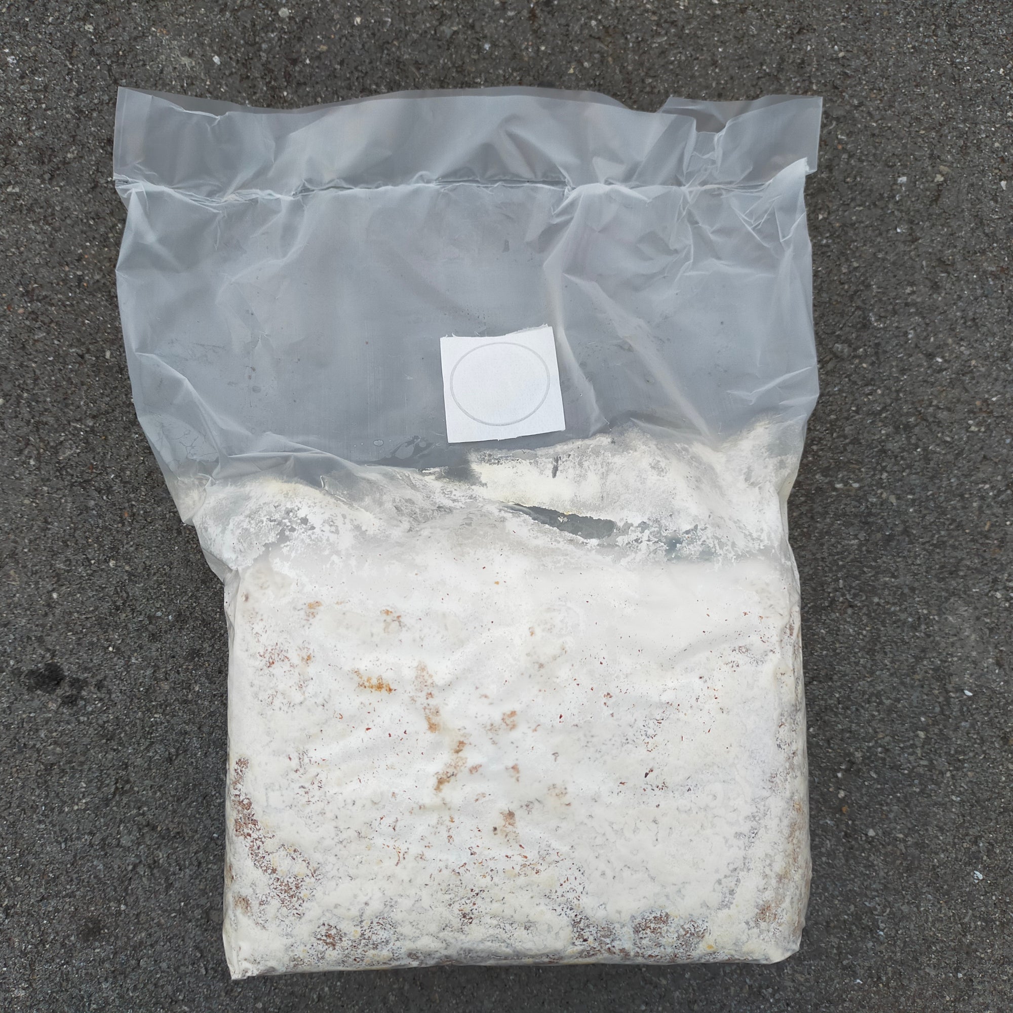 02_square.jpg?v=1712713897