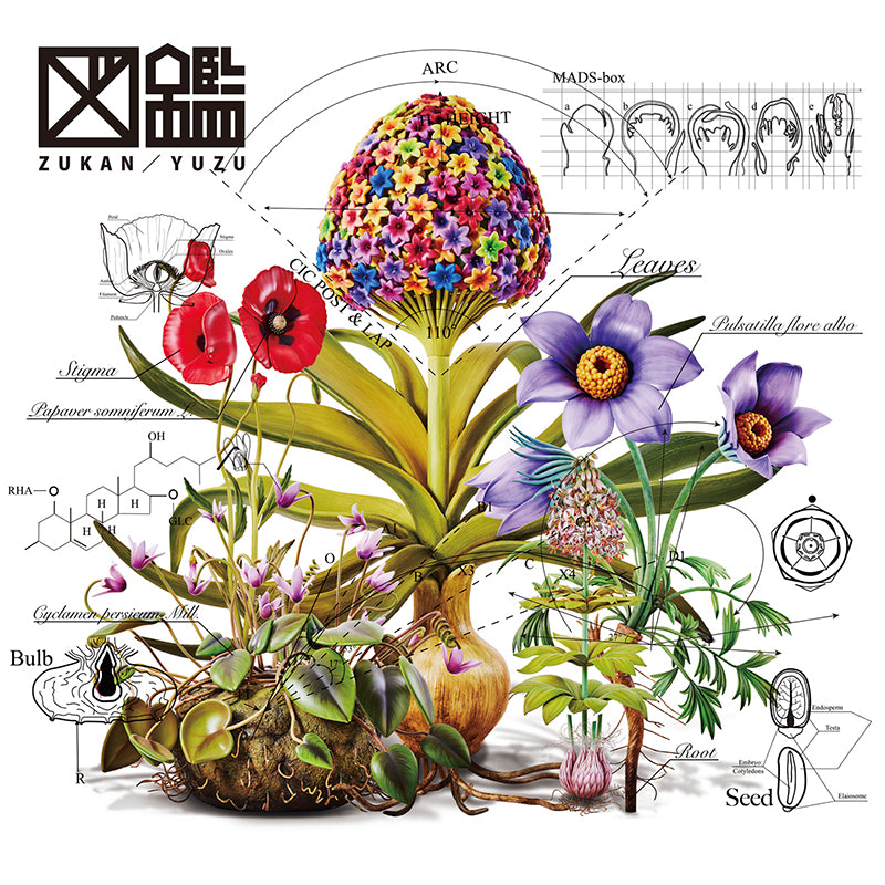 CD】図鑑（通常盤） – TOY'S STORE