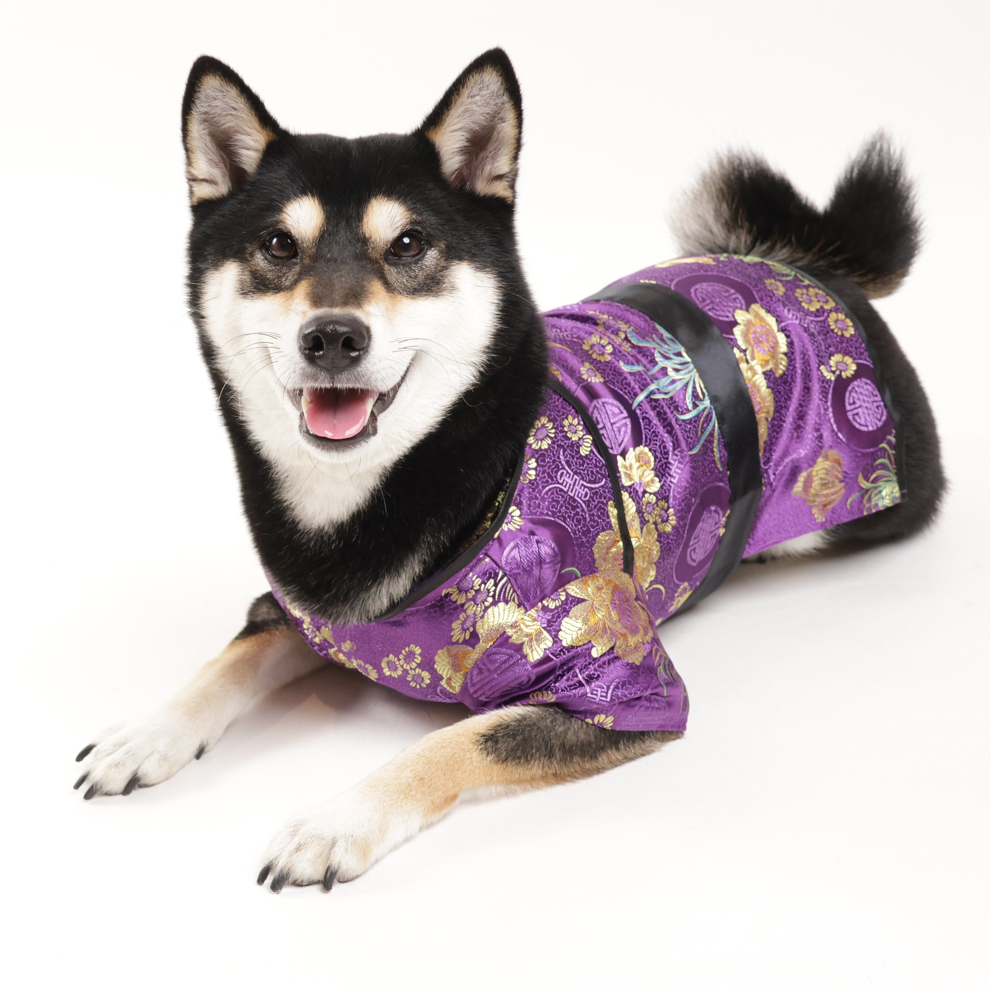 r_chanさま専用☺︎わんこふく 犬服 【公式通販】