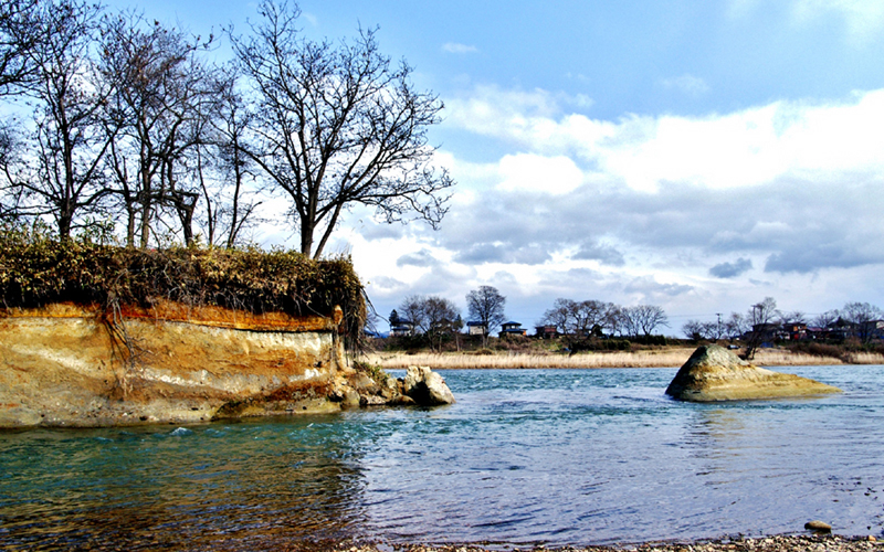 宮沢賢治 二枚貝の化石 イギリス海岸 宮沢賢治二枚貝の化石イギリス海岸