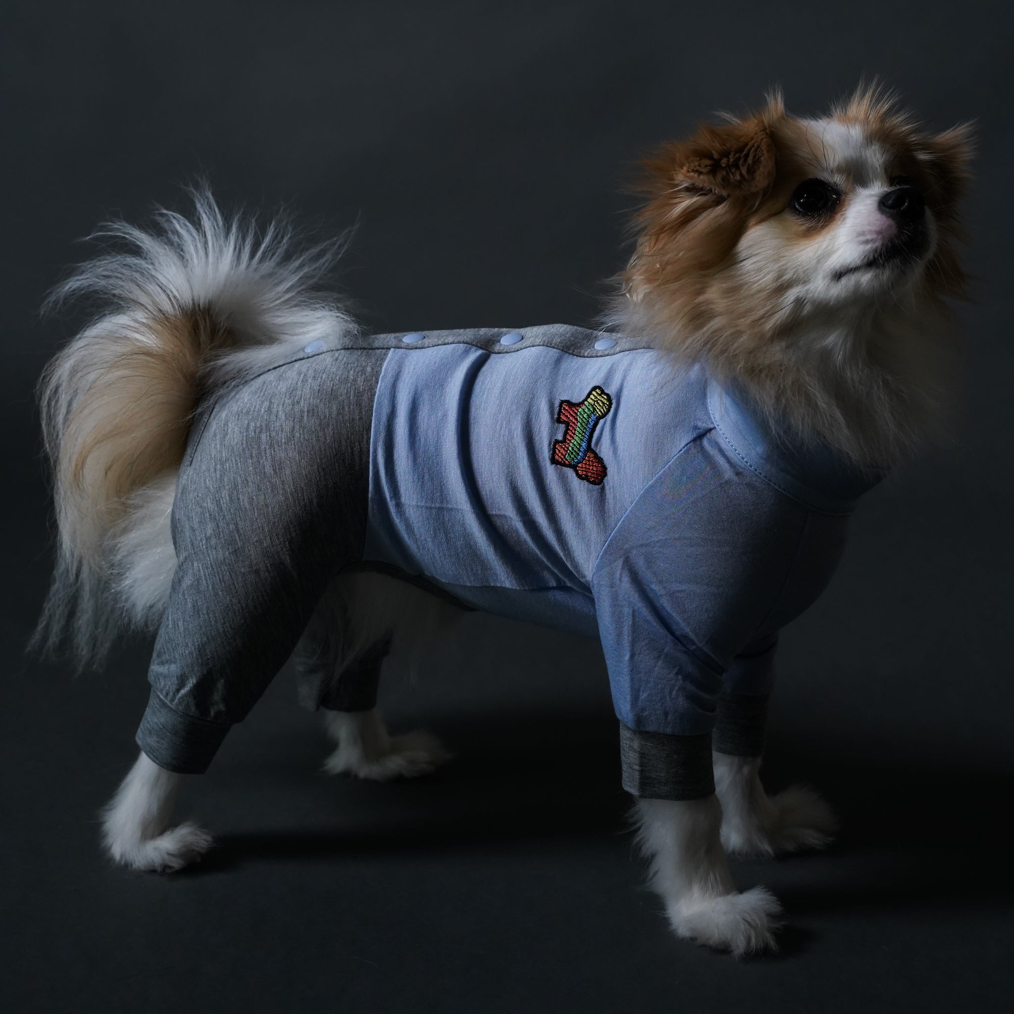 TOKYOWANG（犬ロンパース/ドッグウェア/犬服ブランド） – TOKYO WANG