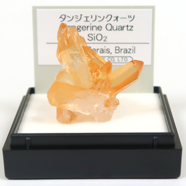 Pick up】ミニ鉱物標本｜化石販売・鉱物販売の東京サイエンス