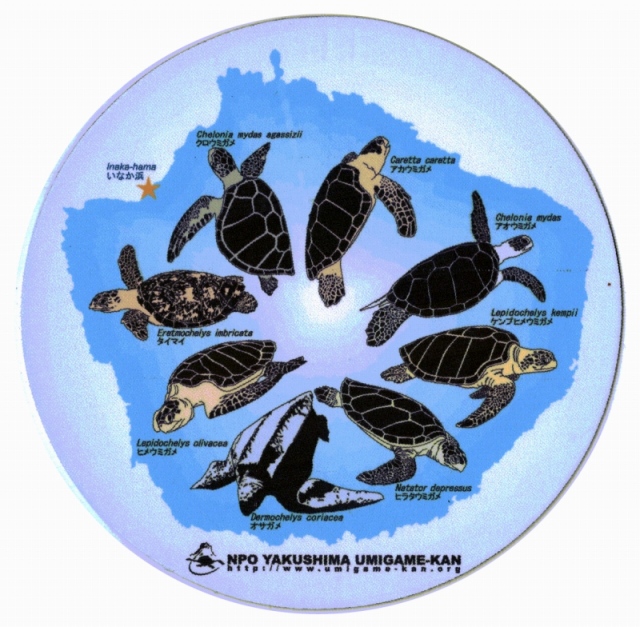 屋久島海亀本舗