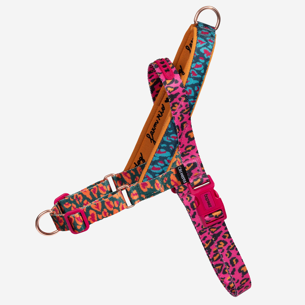 FARM Rio X Zee.Dog Selva No-Pull Dog Harness - 3 Sizes